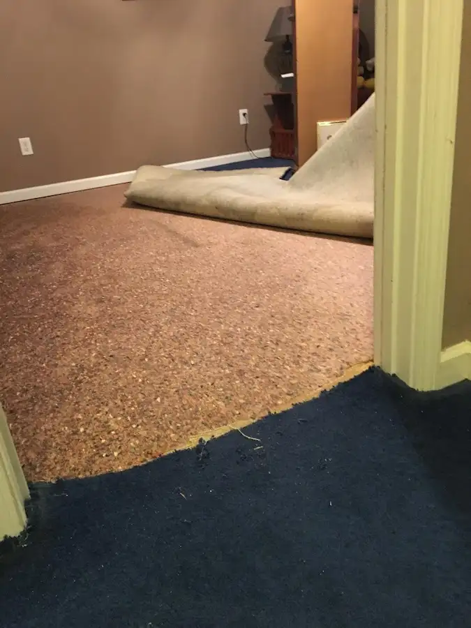 Carpet pad removal revealing water damage during Drying & Dehumidification in Cooper City