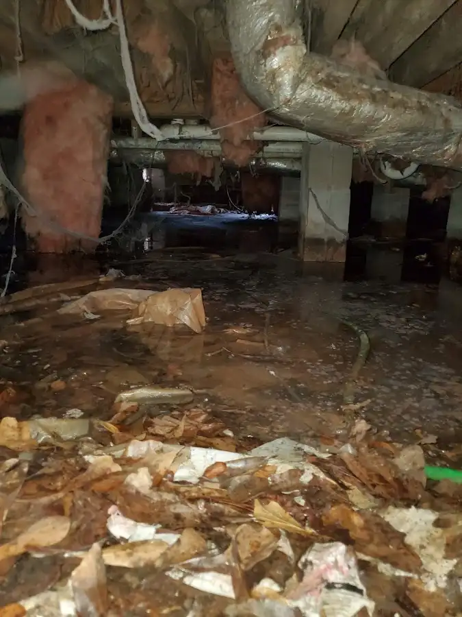 Crawl space flood assessment for Leak Detection & Repair in Cooper City