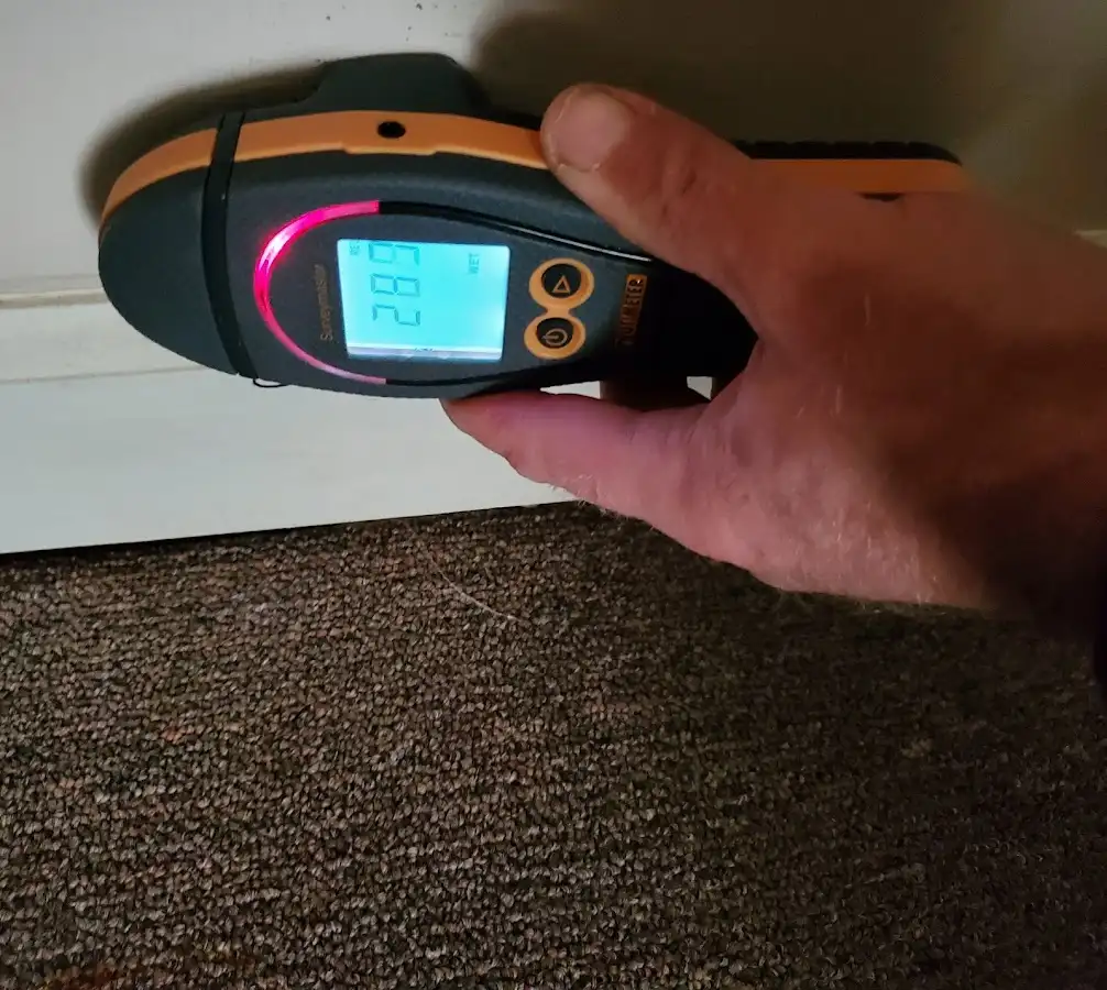 Moisture detection at baseboard during Mold Inspection & Testing in Cooper City